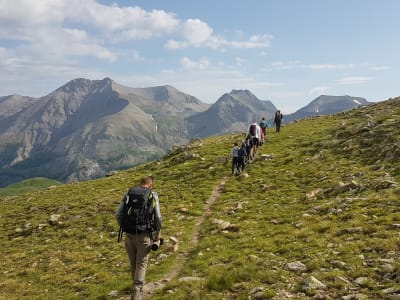 Mercantour wildlife hike from Allos