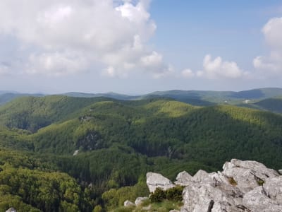 Excursion pédestre guidée dans le parc national de Risnjak