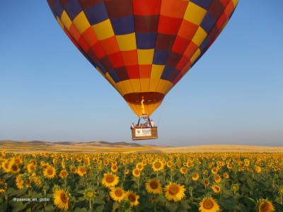 Heißluftballon-Fahrt in der Nähe von Sevilla