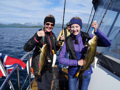 Excursion de pêche à bord d'un catamaran de luxe au départ de Tromsø