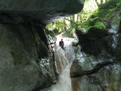 Canyon de Ternèze près de Chambéry, Massif des Bauges