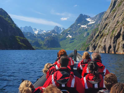 Trollfjord Sea Eagle RIB Safari in Lofoten from Svolvær