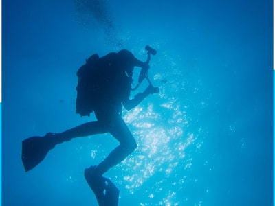 Diving trip (2 dives) from Marina de Albufeira, Algarve