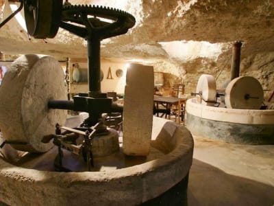 Excursión privada a un molino de aceite de oliva desde Chania en Creta