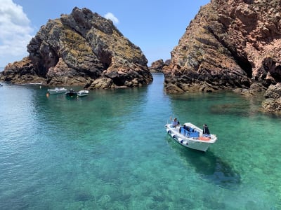 Excursión en barco desde Peniche a las Islas Berlengas