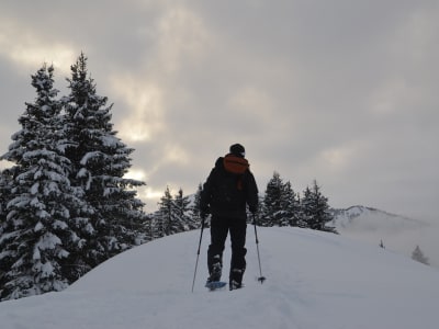 Randonnée en raquettes à Megève, face au Mont Blanc