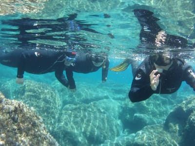 3-hour Snorkelling Excursion from Kassandra in Chalkidiki