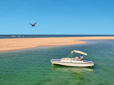 Umweltfreundliche Bootstour in der Ria Formosa