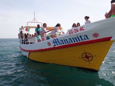 Découvrez la côte et la grotte de Ponta da Piedade à Lagos lors d'une croisière.