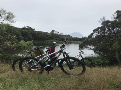 Excursion VTT électrique dans la forêt de l'Etang-Salé, La Réunion