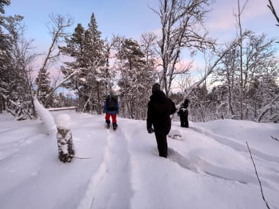 Leichte und abenteuerliche Schneeschuhwanderungen ab Kiruna