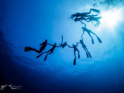 SSI freediving course in Antibes