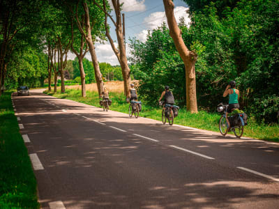 Location de VTC près de Versailles dans les Yvelines