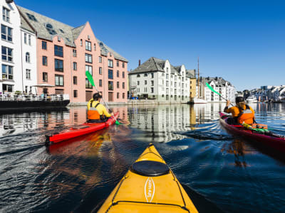 Excursiones en kayak de mar desde Alesund