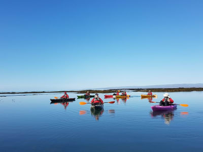 Excursión guiada en kayak de mar por el río Hraunsá en Stokkseyri, cerca de Selfoss
