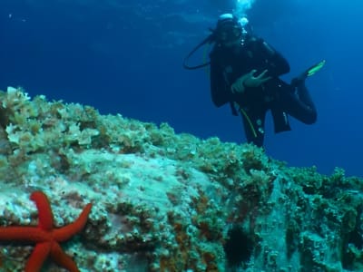 Adventure Dives in Porto Venere near Cinque Terre