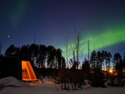 Overnight Aurora Tepee Camp and Dog Sledding from Ekorrsele in Västerbotten