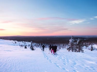 Excursión con raquetas de nieve en el Parque Nacional de Pallas-Ylästunturi desde Levi