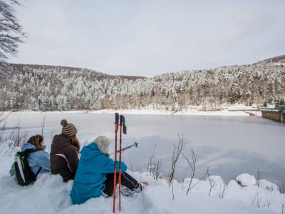 Snowshoe hike in the Calvaire pass, Vosges