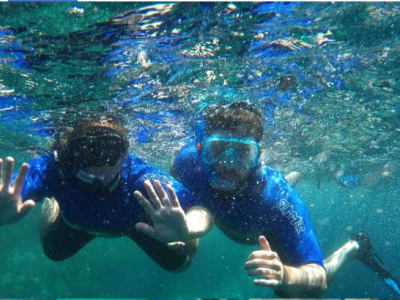 Snorkeling in Terceira, Azores. Shore experience