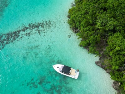 Private Snorkelling Trip to Ile aux Aigrettes from Blue Bay, Mauritius