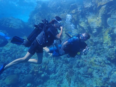 First Dive in the Cousteau Reserve from Bouillante, Guadeloupe