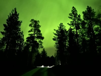 Persecución de auroras boreales en minibús al Parque Nacional de Abisko desde Kiruna