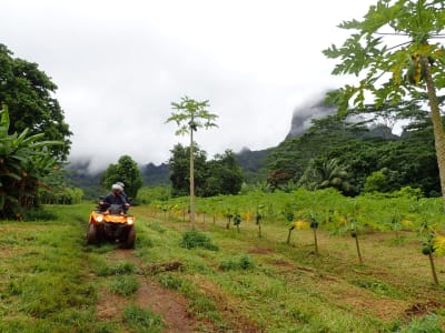 Guided Quad Bike Ride in Moorea