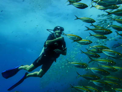 PADI Découverte de la plongée sous-marine à Pounda à Paros