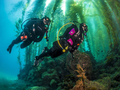 Descubra el submarinismo en Ginebra