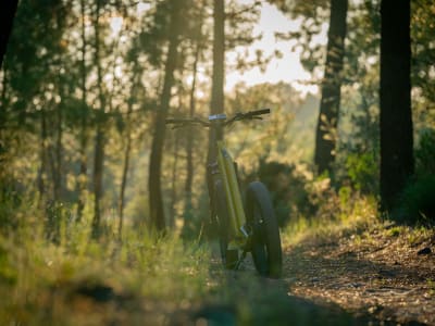 Electric scooter rental in La Palmyre