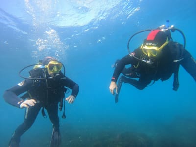 Bautismo de buceo en Tarifa, Cádiz