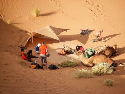 Survival Course in Morocco departing from Marrakech