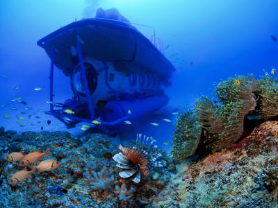 Excursión en submarino en Mauricio desde Trou aux Biches