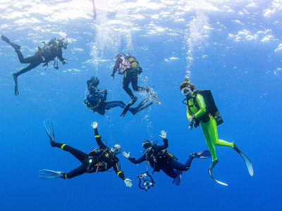 Adventure Dives and Lunch in Marettimo, Aegadian Islands