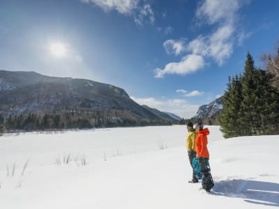 Senderismo invernal guiado en el Parque Nacional de Hautes-Gorges-de-la-Rivière-Malbaie en Charlevoix