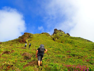 Guided Hike on the Soufrière Volcano in Guadeloupe