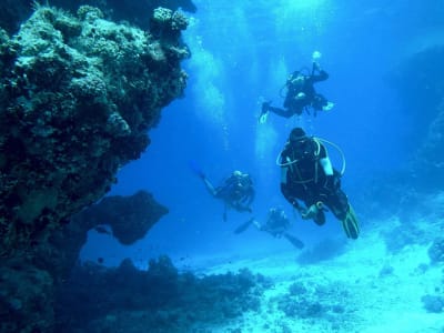 Discover Scuba Dive from Kassandra in Chalkidiki