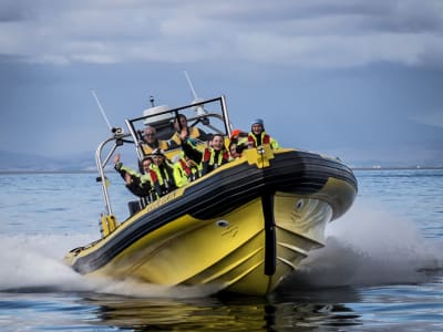 Excursión de 2 horas en semirrígida por el archipiélago de Vestmannaeyjar