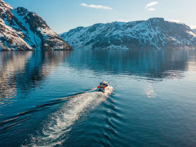 Abenteuerliche Bootsfahrt auf dem Alta Fjord