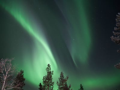 Chasse aux aurores boréales en minibus à Saariselkä