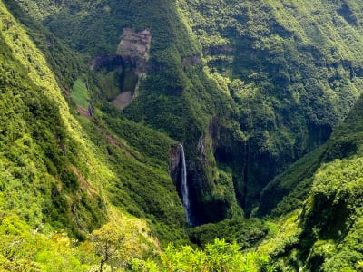 Hiking in Bélouve forest and Le Trou de Fer, Cirque de Salazie, Réunion Island