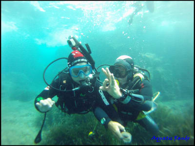 Cursos de buceo de nivel 1 y 2 de la FFESSM en Frejus