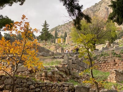 Full-day Sightseeing Tour with Audio-guide to Delphi from Athens