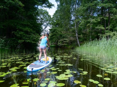 Selbstgesteuertes Stand Up Paddle Abenteuer in Stockholm