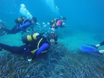 Descubre el buceo en Alonissos