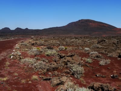 Excursión guiada en furgoneta al Piton de la Fournaise, Isla Reunión