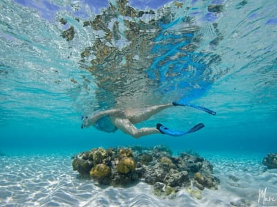 Snorkelling on the island of Mayotte