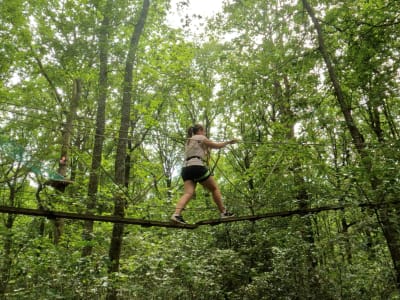 Excursión en canopy en Avallon, Morvan, Borgoña