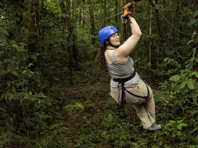 Zipline und Regenwald-Wasserfall-Tour vom Blue River Resort
